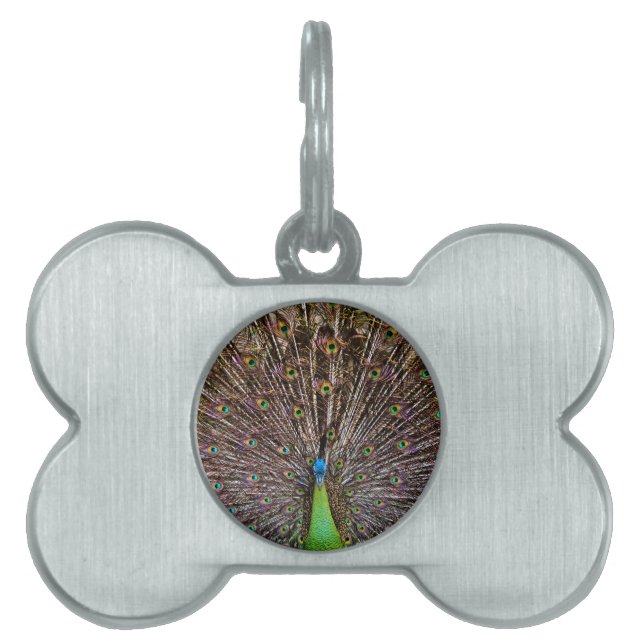 Placa Para Mascotas Pavo real (Frente)