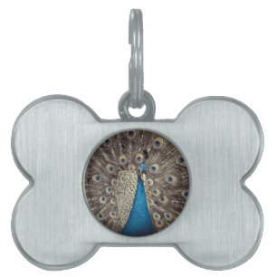 Placa Para Mascotas Pavo Real Azul Antiguo