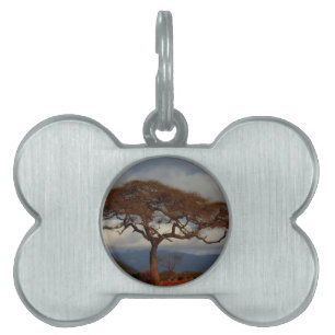 Placa Para Mascotas Paz nupcial del personalizado de la ducha de