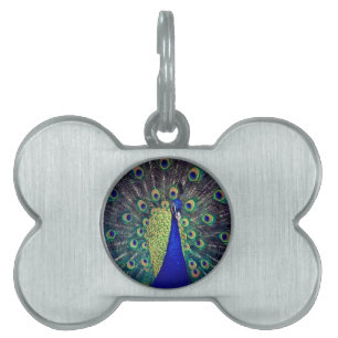 Placa Para Mascotas Peacock azul cobalto