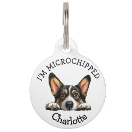 Placa Para Mascotas Peeking Black Corgi Puppy Personalizado