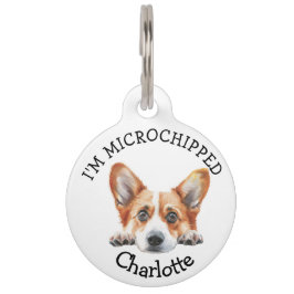 Placa Para Mascotas Peeking Gold Corgi Puppy Personalizado