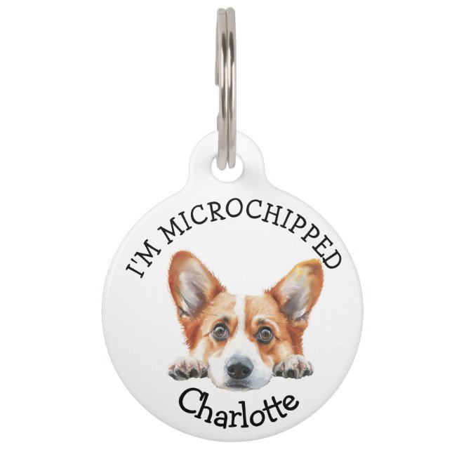 Placa Para Mascotas Peeking Gold Corgi Puppy Personalizado (Anverso)