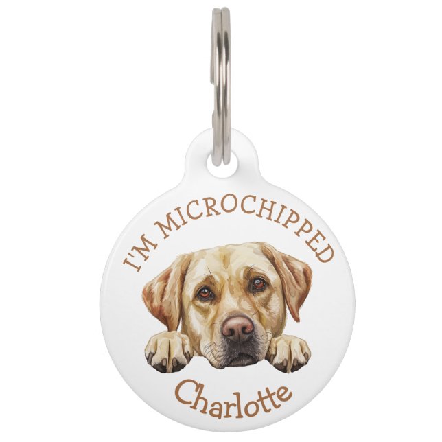 Placa Para Mascotas Peeking Golden Labrador Puppy Personalizado (Anverso)