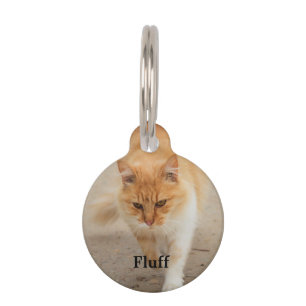 Placa Para Mascotas Pelusa