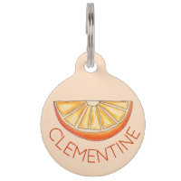 Pendiente De Zumo De Fruta De Jugo De Naranja Y Fr