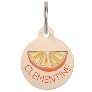 Placa Para Mascotas Pendiente De Zumo De Fruta De Jugo De Naranja Y Fr