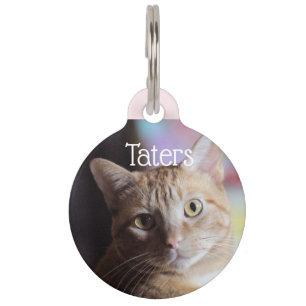 Placa Para Mascotas Penique
