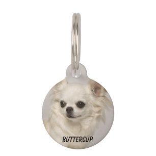 Placa Para Mascotas Pequeña etiqueta redonda de mascotas Chihuahua con