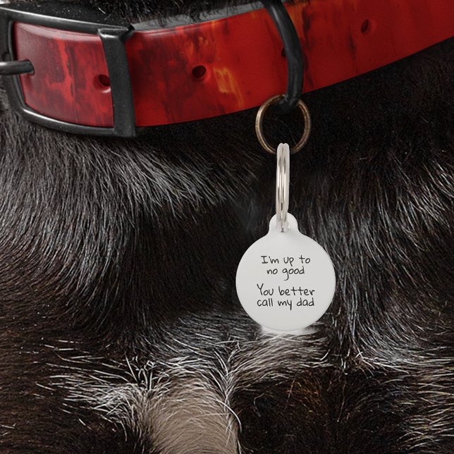 Placa Para Mascotas Perdida la identificación de un Personalizar de hu (Subido por el creador)