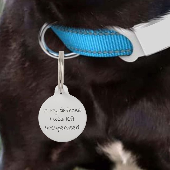 Placa Para Mascotas Perdida la identificación de un Personalizar de hu (Subido por el creador)