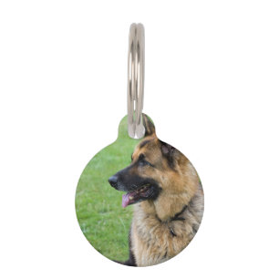 Placa Para Mascotas Perfil del pastor alemán