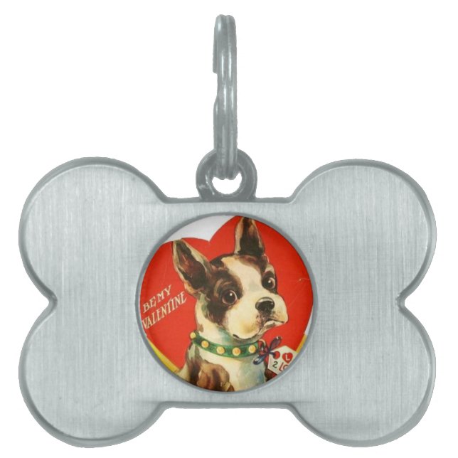 Placa Para Mascotas Perrito hermoso de Boston Terrier de la tarjeta (Frente)