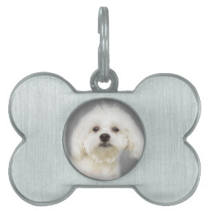 Placa Para Mascotas Perrito maltés blanco lindo
