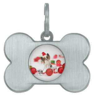 Placa Para Mascotas Perrito Papillon Lindo Sombrero de Santa de Navida