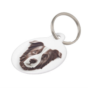 Placa Para Mascotas Perro Border Collie Inspirado en 3D