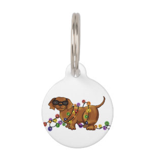 Placa Para Mascotas Perro brillante