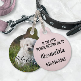Placa Para Mascotas Perro Cachorro Personalizado Foto Nombre Número