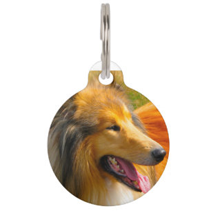 Placa Para Mascotas Perro Collie.