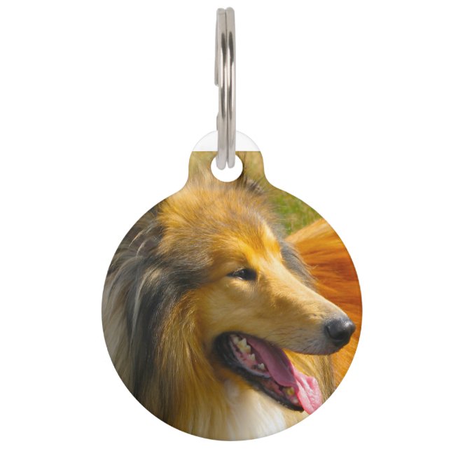 Placa Para Mascotas Perro Collie. (Anverso)