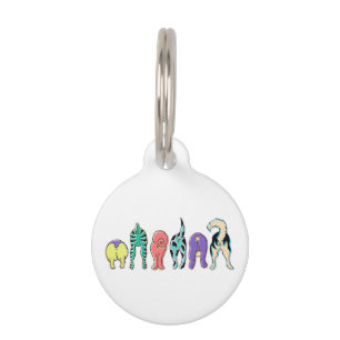 Placa Para Mascotas Perro colorido