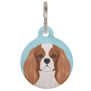 Placa Para Mascotas Perro de aguas de rey Charles arrogante