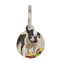 Perro de Boston Terrier jugando con juguetes