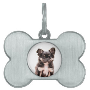 Placa Para Mascotas Perro de cachorro chihuahua