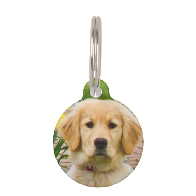 Placa Para Mascotas Perro de Golden Retriever (Anverso)