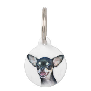 Placa Para Mascotas Perro de la chihuahua