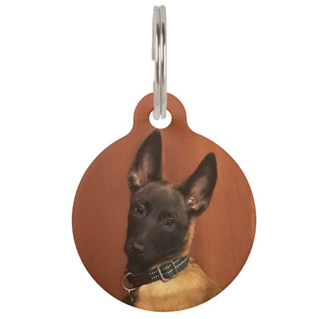 Placa Para Mascotas Perro de Malinois (Anverso)