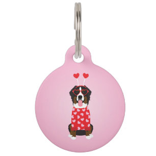 Placa Para Mascotas Perro de montaña bernés de San Valentín
