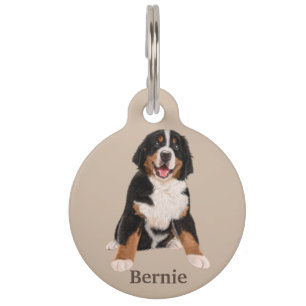 Placa Para Mascotas Perro de montaña de Berna Personalizado