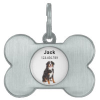 Perro de montaña de Bernese |