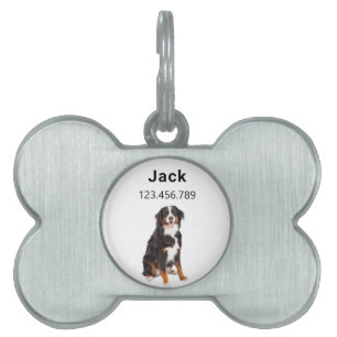 Placa Para Mascotas Perro de montaña de Bernese