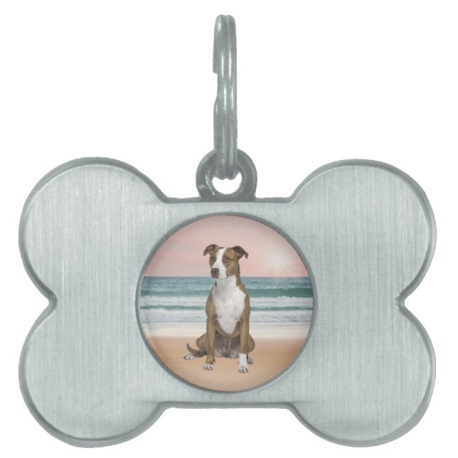 Placa Para Mascotas Perro de Pitbull lindo sentado en la playa con pue (Frente)