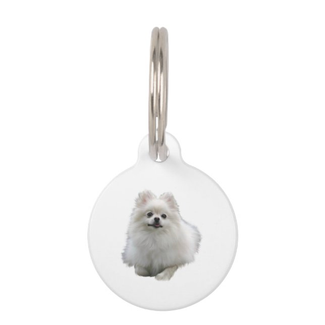 Placa Para Mascotas Perro de Pomerania (Anverso)