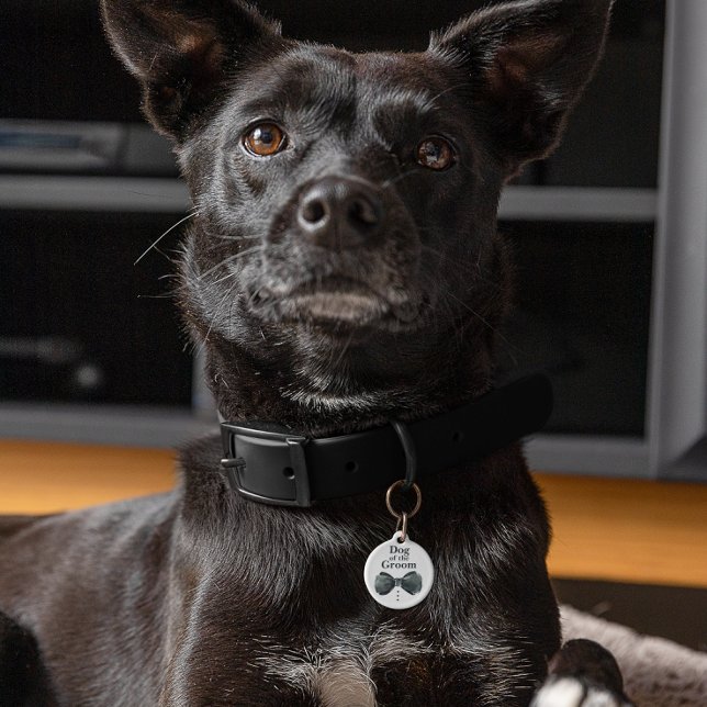 Placa Para Mascotas Perro del Groom | Perro en Boda (Subido por el creador)