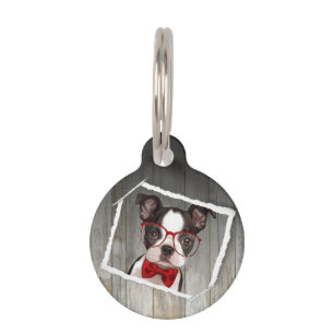 Placa Para Mascotas perro elegante con gafas