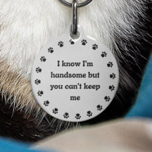 Perro Gato Divertido Humor ID Personalizado Perdid