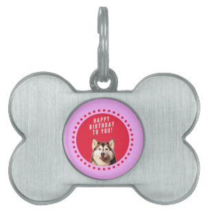 Placa Para Mascotas Perro Husky Siberiano Cute Deseando Feliz Cumpleañ