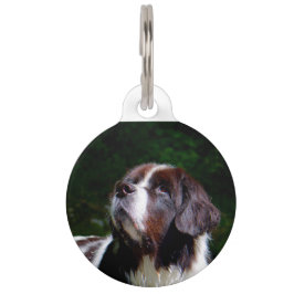 Placa Para Mascotas Perro Landseer.