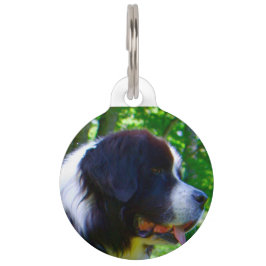 Placa Para Mascotas Perro Landseer.