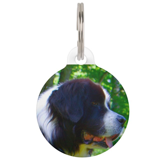 Placa Para Mascotas Perro Landseer. (Anverso)