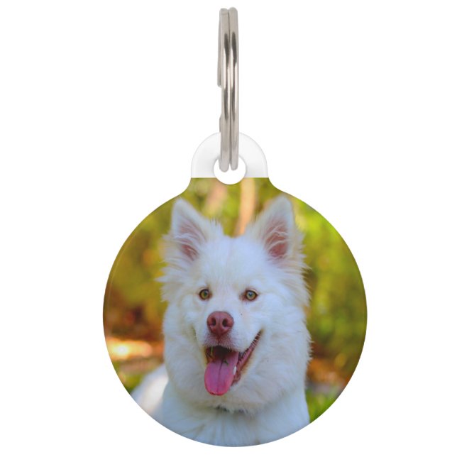 Placa Para Mascotas Perro Lapphund. (Anverso)