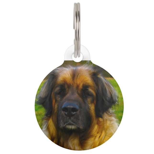 Placa Para Mascotas Perro Leonberger. (Anverso)