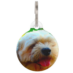 Placa Para Mascotas Perro Lhasa Apso.