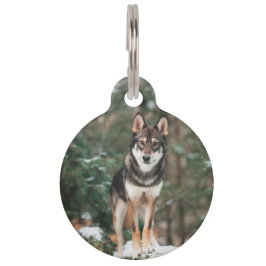 Placa Para Mascotas Perro lobo