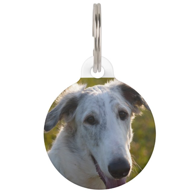 Placa Para Mascotas Perro lobo ruso de Borzoi. (Anverso)
