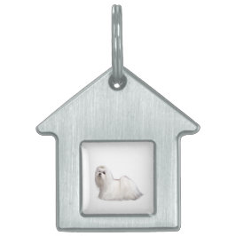 Placa Para Mascotas Perro maltés